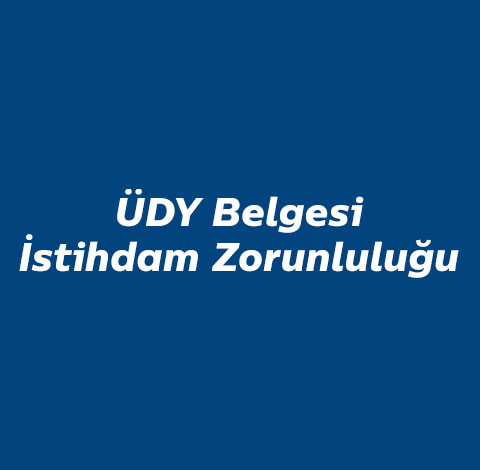 ÜDY Belgesi İstihdam